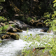 Illustration for article titled A hike with Toby and Mrs. IM at Willow Creek. (Angel Falls)